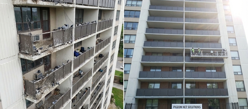 Benefits of Bird Protection Nets