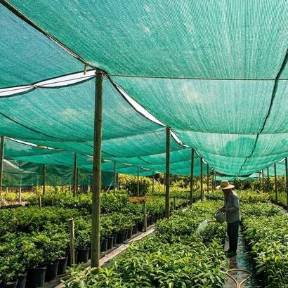 Shade nets installation for agriculture in Vijayawada