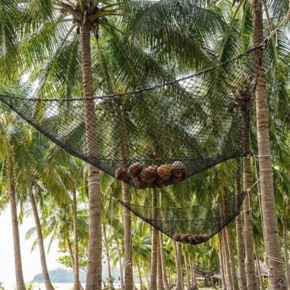 Coconut tree safety nets installation in Vijayawada
