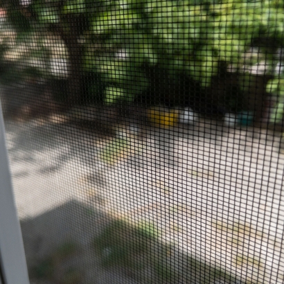 Bird control solutions in Vijayawada