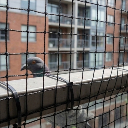 Before pigeon nets installation on balcony in Vijayawada